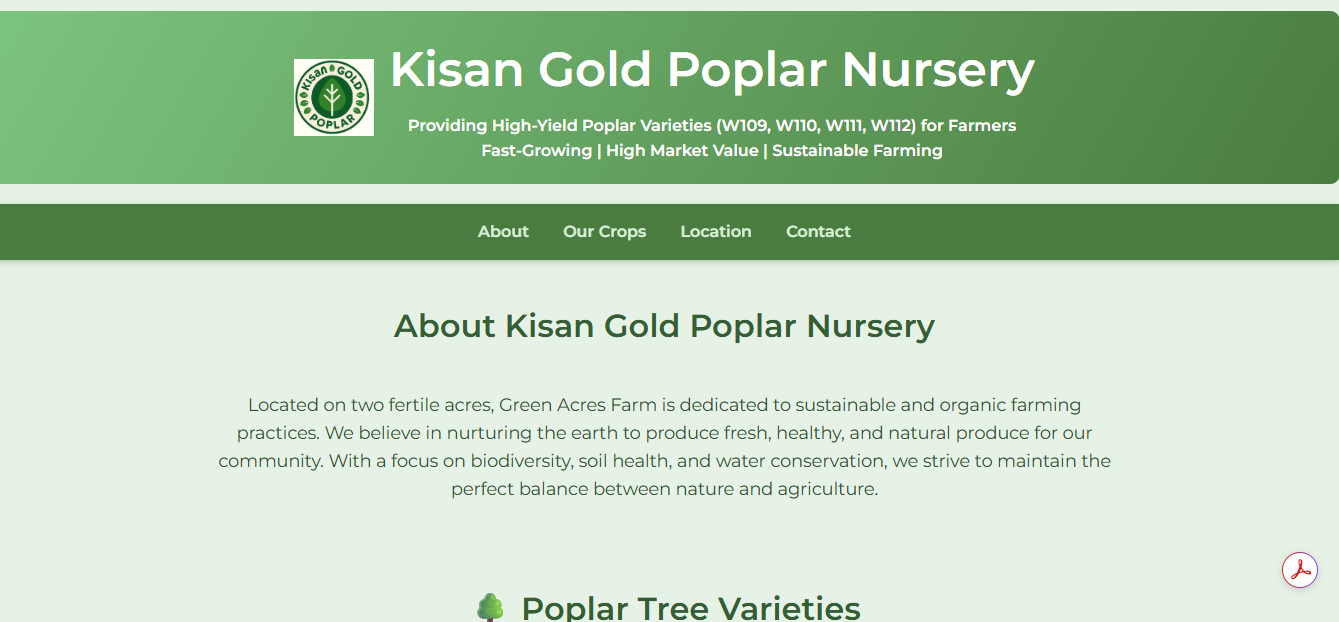 Bright Web App Interface